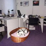 Chefzimmer mit Dinah Chefzimmer mit Dinah